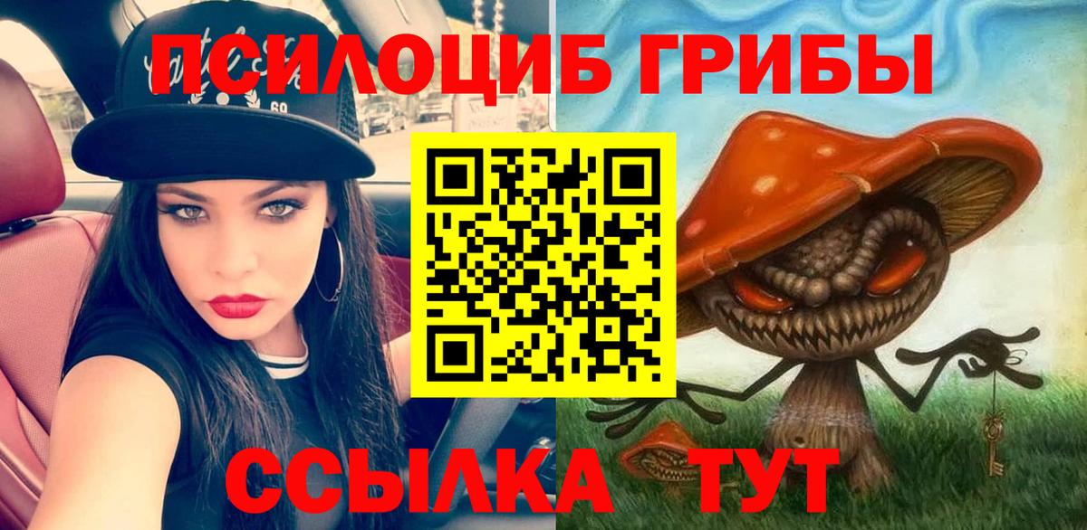 Чусовой  Галлюциногенные грибы ЛСД  где купить наркотик  Вход с VPN  Псилоцибиновые грибы Magic Shrooms 