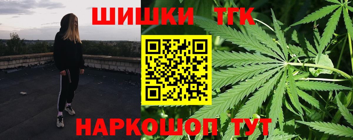Конопля сатива Чусовой